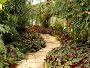6 Easy Landscaping Tips For Beginners